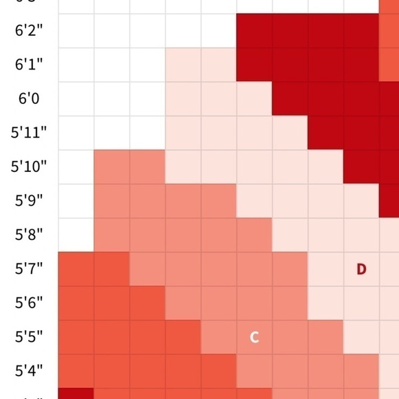NWT From Rachel Fishnet Stockings with Back-seam - Picture 6 of 7
